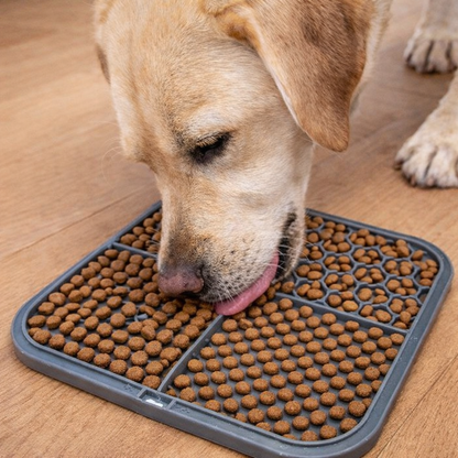 ZUPPO Likmat - Populair